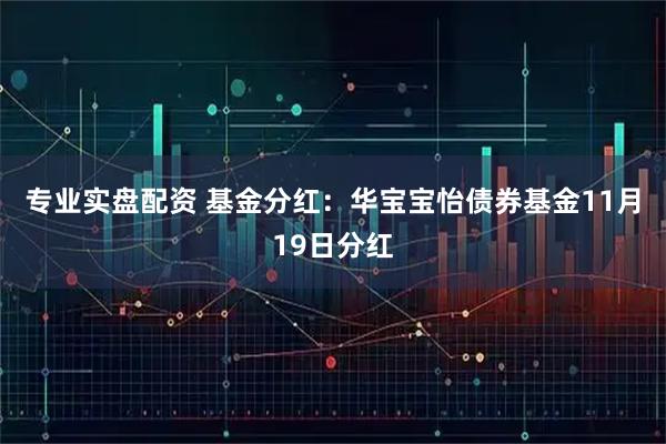 专业实盘配资 基金分红：华宝宝怡债券基金11月19日分红